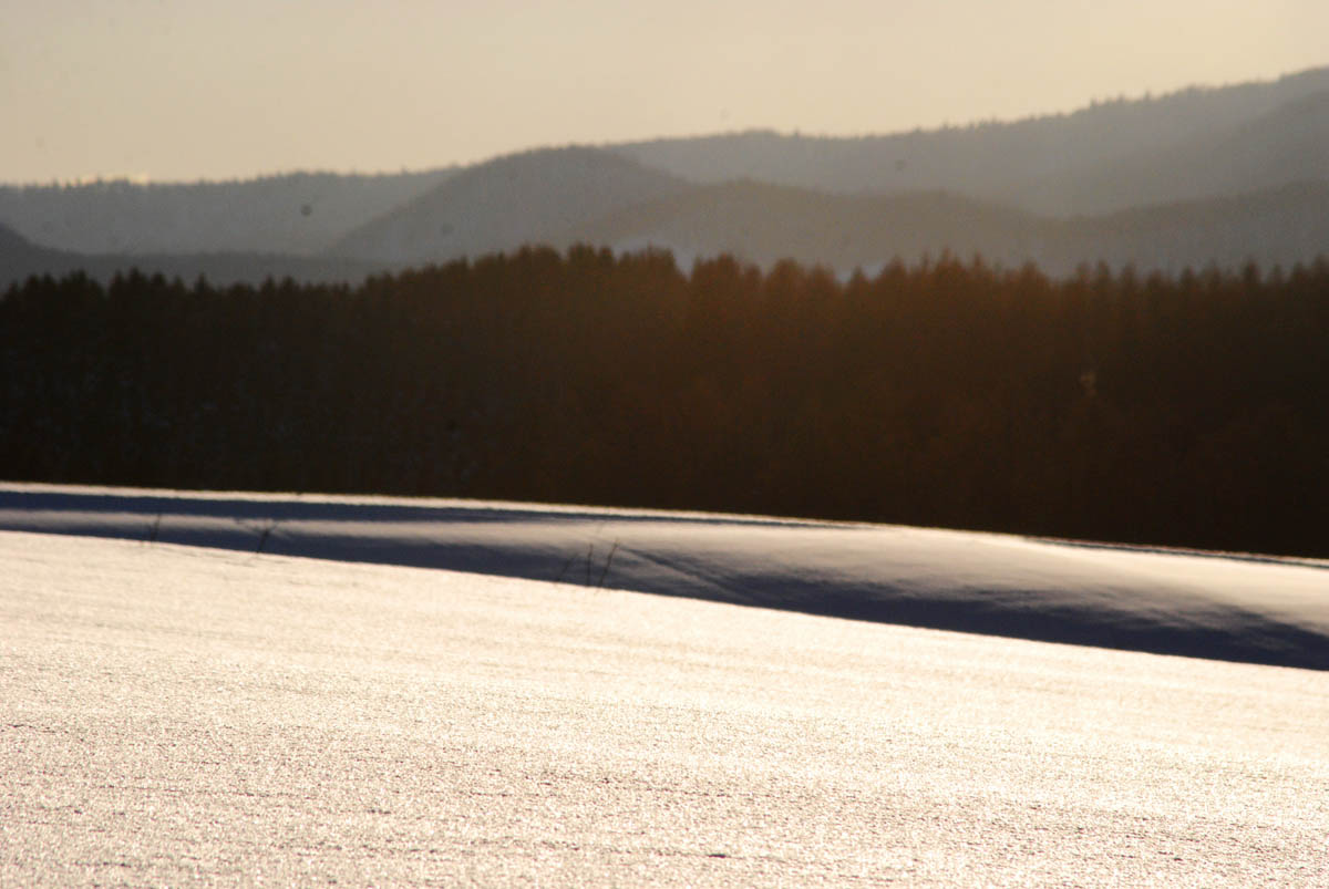 Experience Japan snow scenery of Hokkaido