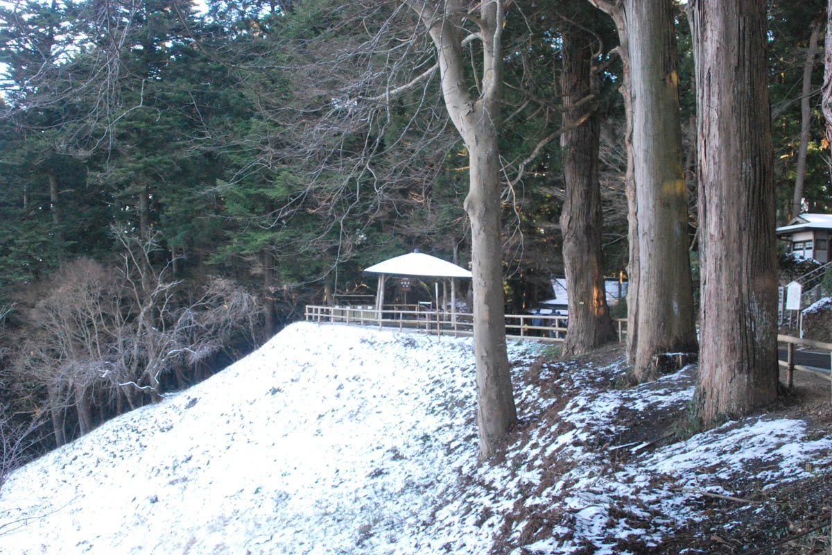 Forest bathing journey Chusonji Temple and its approach